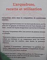 24 - Les plantes d'interieur en vogue au 19e - L'arquebuse, recette et utilisation.jpg